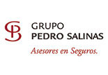 Grupo Pedro Salinas - Servicios